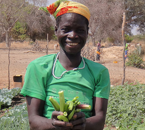 Cover-The-thriving-market-garden-in-Mardianga-Burkina-Faso