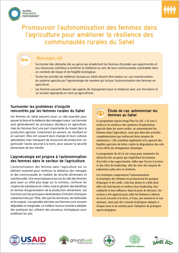 Promouvoir l’autonomisation des femmes dans l’agriculture pour améliorer la résilience des communautés rurales du Sahel