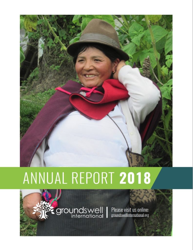 2018 Groundswell Annual Report
