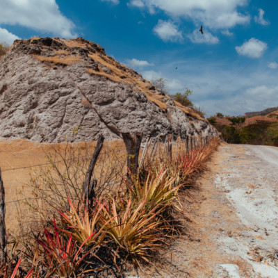 Honduras Dry Cooridor landscape