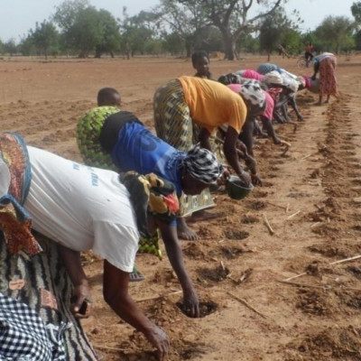 Zaï Water Microcatchment basins in the Sahel