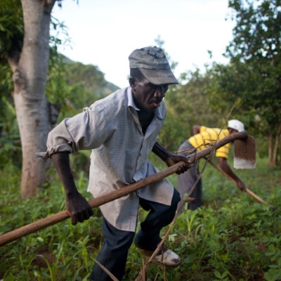 Haitian farmers working together to regenerate their land. Photo by Ben Depp.