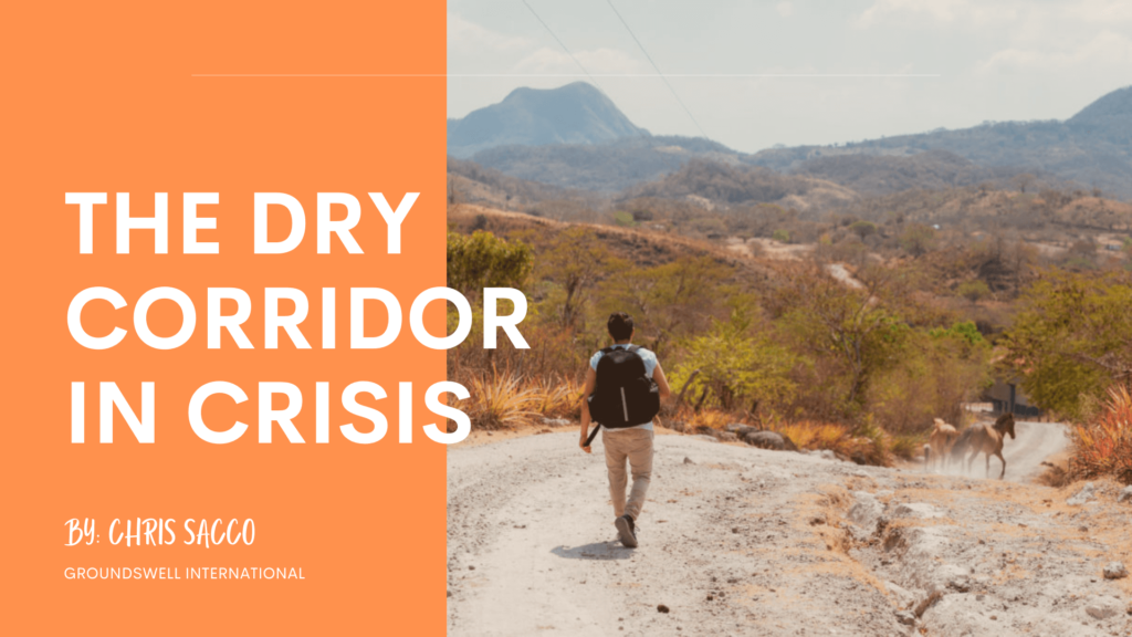 The Dry Corridor in Crisis