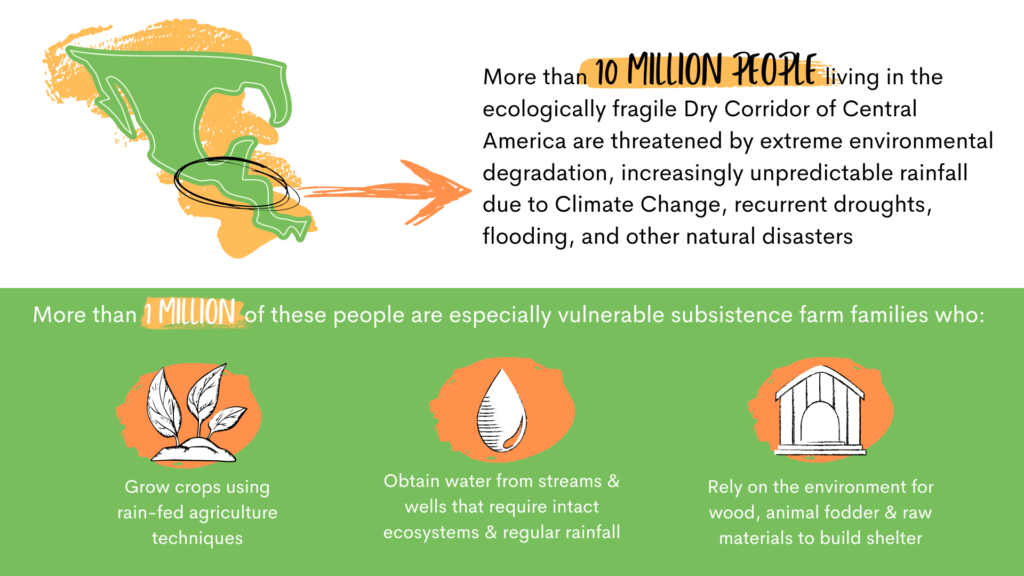 Dry Corridor in Crisis statistics