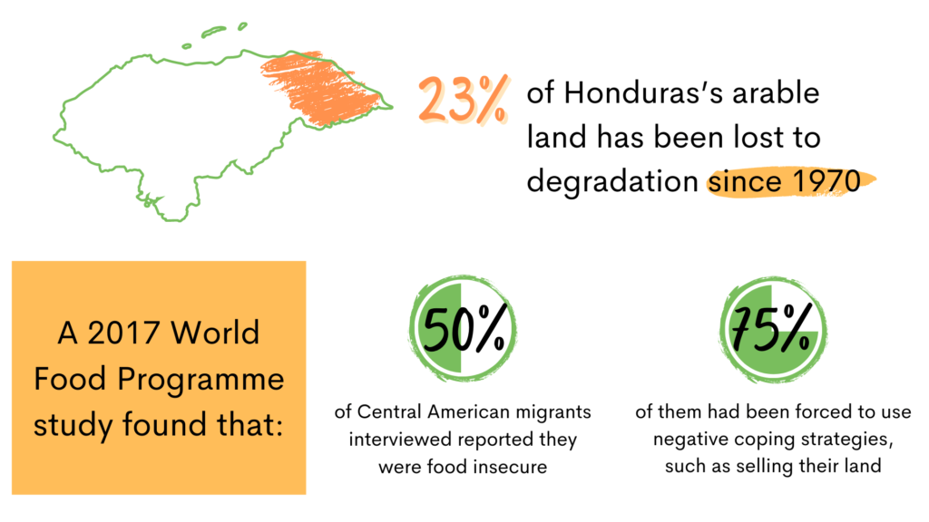 Honduras land crisis