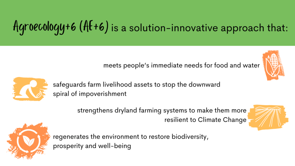 Agroecology +6