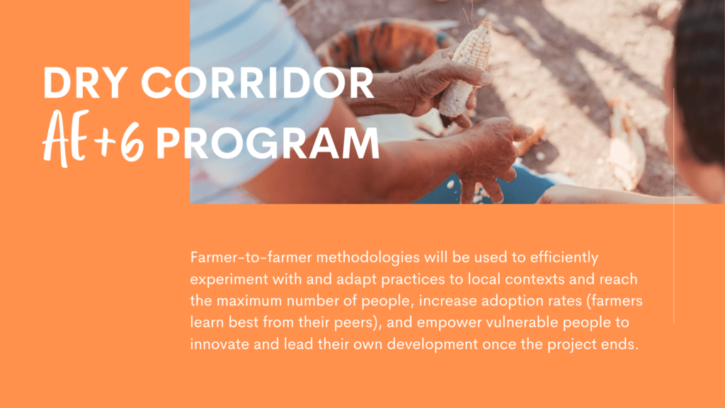 Agroecology in the Dry Corridor