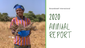 Groundswell's 2020 Annual Report