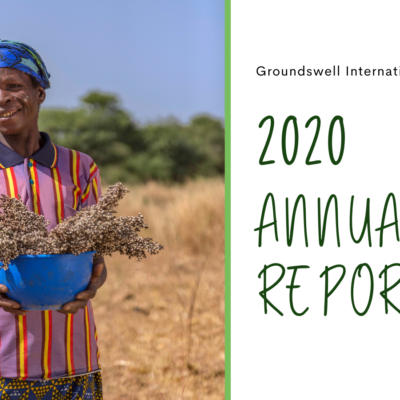 Groundswell's 2020 Annual Report