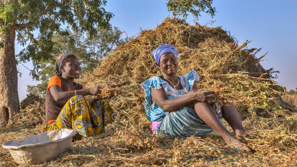 agroecology