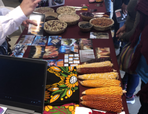 Mexico Seed Project 2022