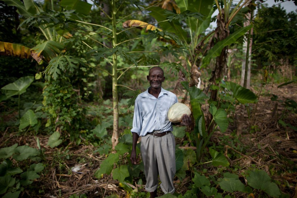 Agroecology as a Poverty Solution in Haiti