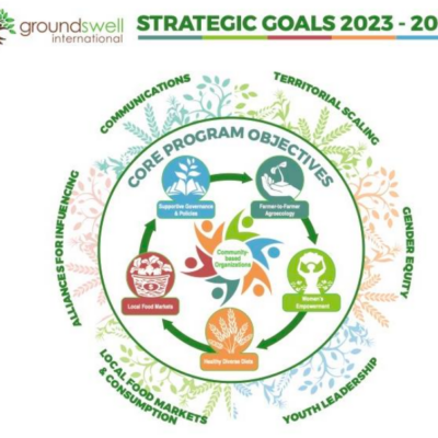 Groundswell's Strategic Framework Goals
