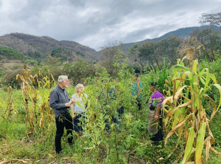 mayan seeds of hope