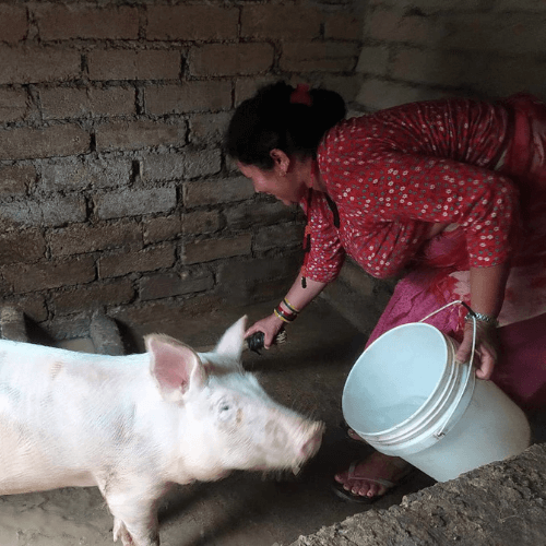 empowering women in the field radha