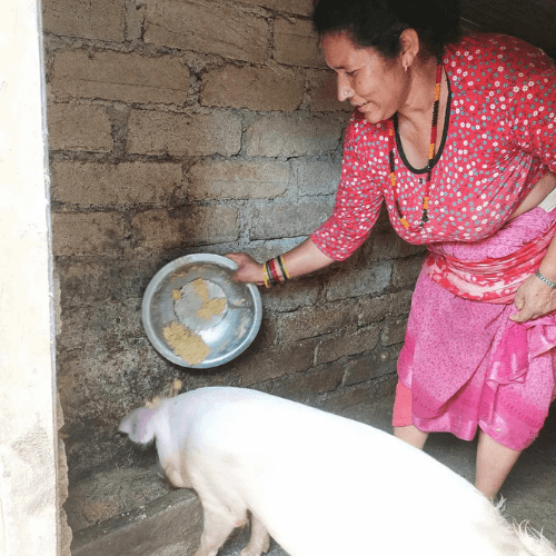 empowering women in the field radha