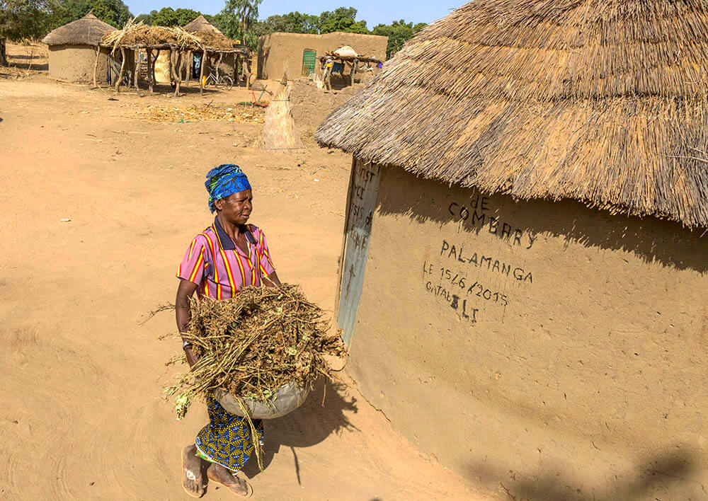 Women farmers and climate change in West Africa