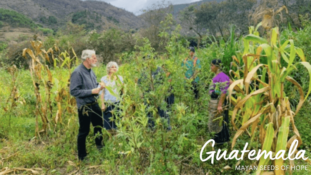 Groundswell International 2023 in Review Guatemala