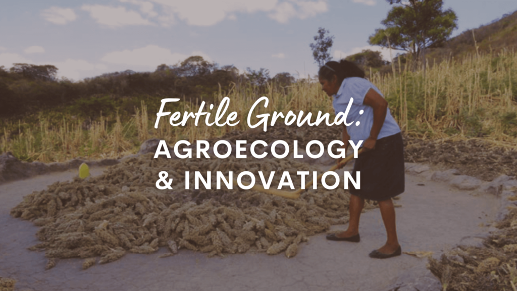 fertile ground agroecology & innovation