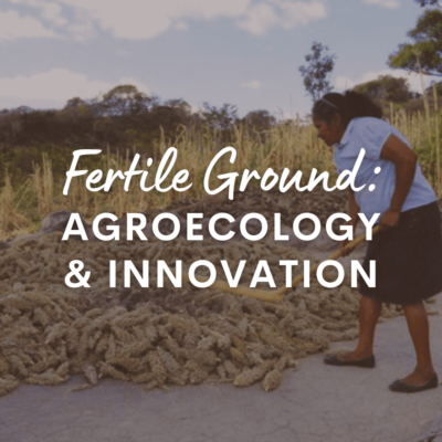 fertile ground agroecology & innovation