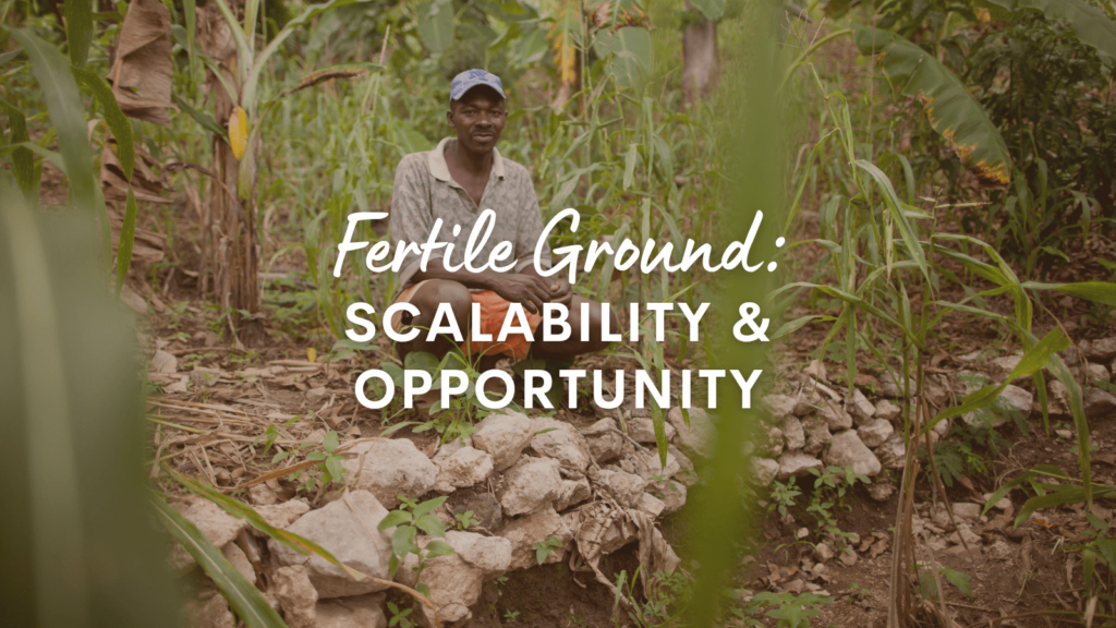 fertile ground: scalability and opportunity