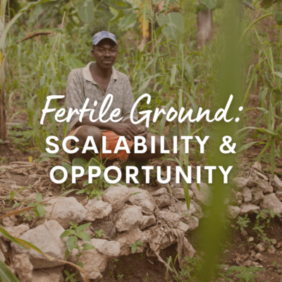 fertile ground: scalability and opportunity