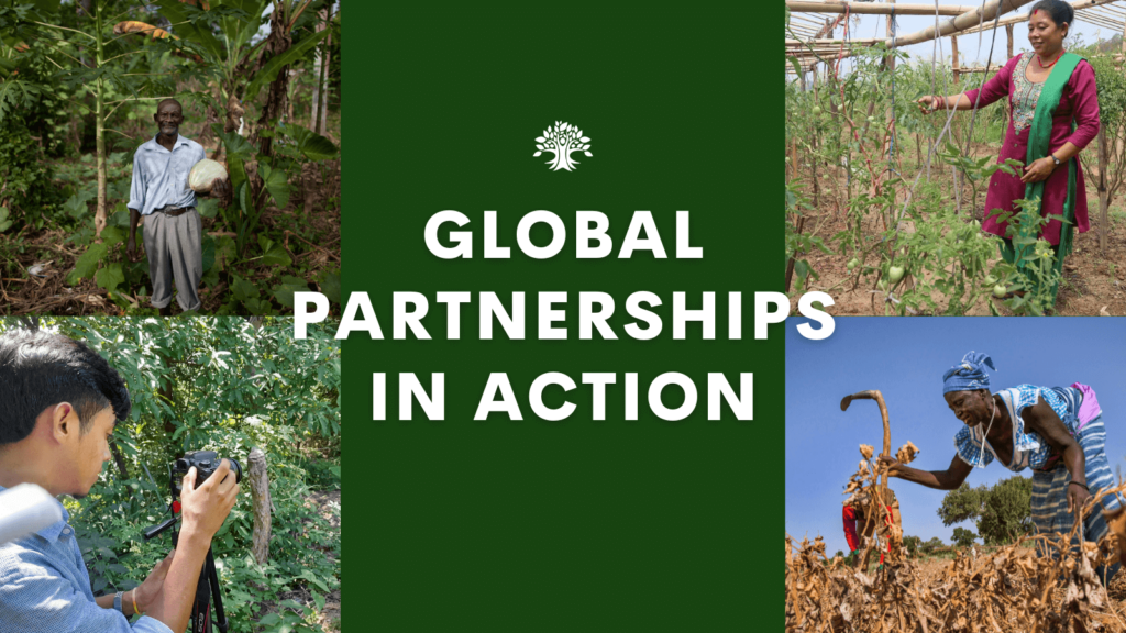 global partnerships in action