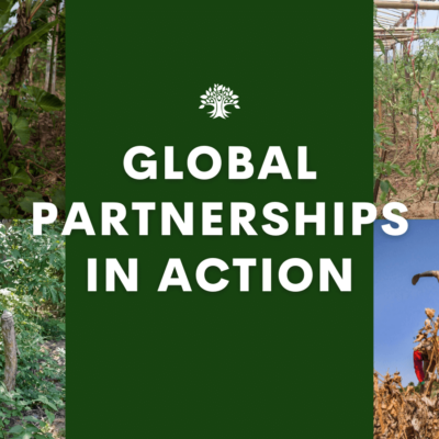 global partnerships in action