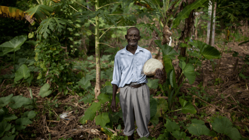 global partnerships in action haiti