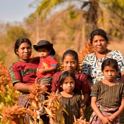 Groundswell International - 2023 Annual Report