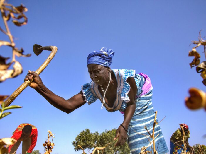 Blog cover transformational agroecology in Burkina Faso