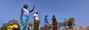 Groundswell International's Theory of Change