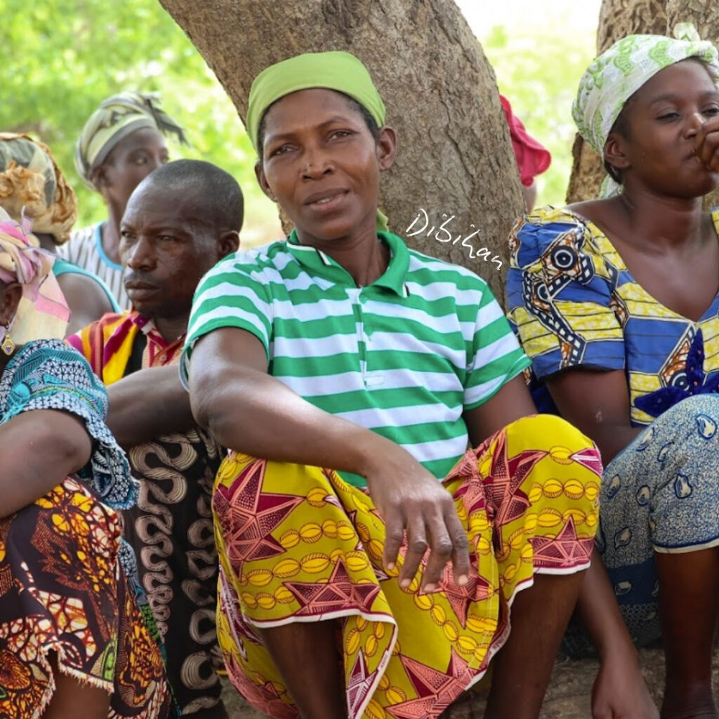 A woman farmer in Mali