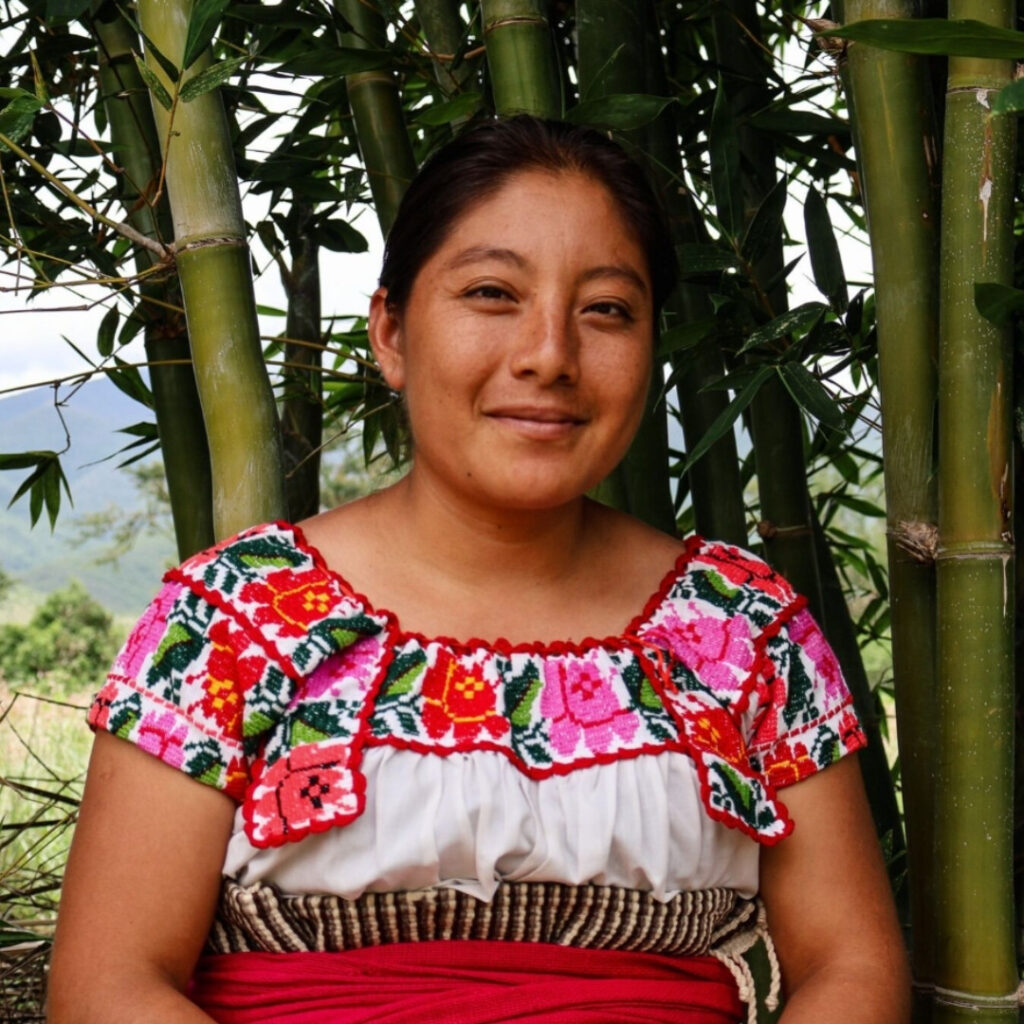 An Indigenous woman farmer in Mexico