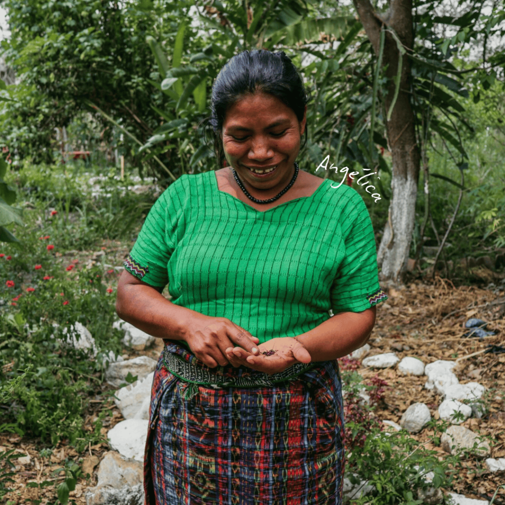 An Indigenous woman farmer in Guatemala