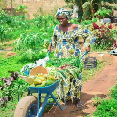 Penda's agroecological urban farm in Senegal