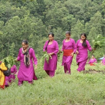 Women farmers in Nepal