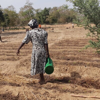 Expanding agroecology in Ghana