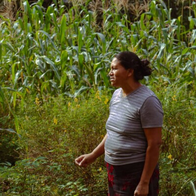 Mujeres rurales en Honduras liderando la soberanía alimentaria.