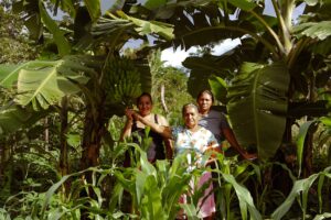 Rural women farmers in Honduras strengthening local food sovereignty through agroecology