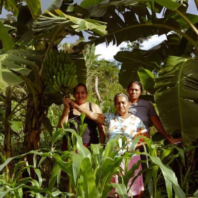 Rural women farmers in Honduras strengthening local food sovereignty through agroecology