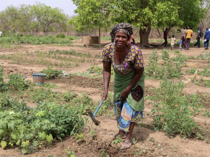 Agroecology in Mali led by farmers