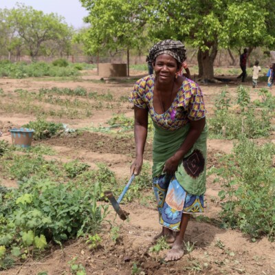 Agroecology in Mali led by farmers