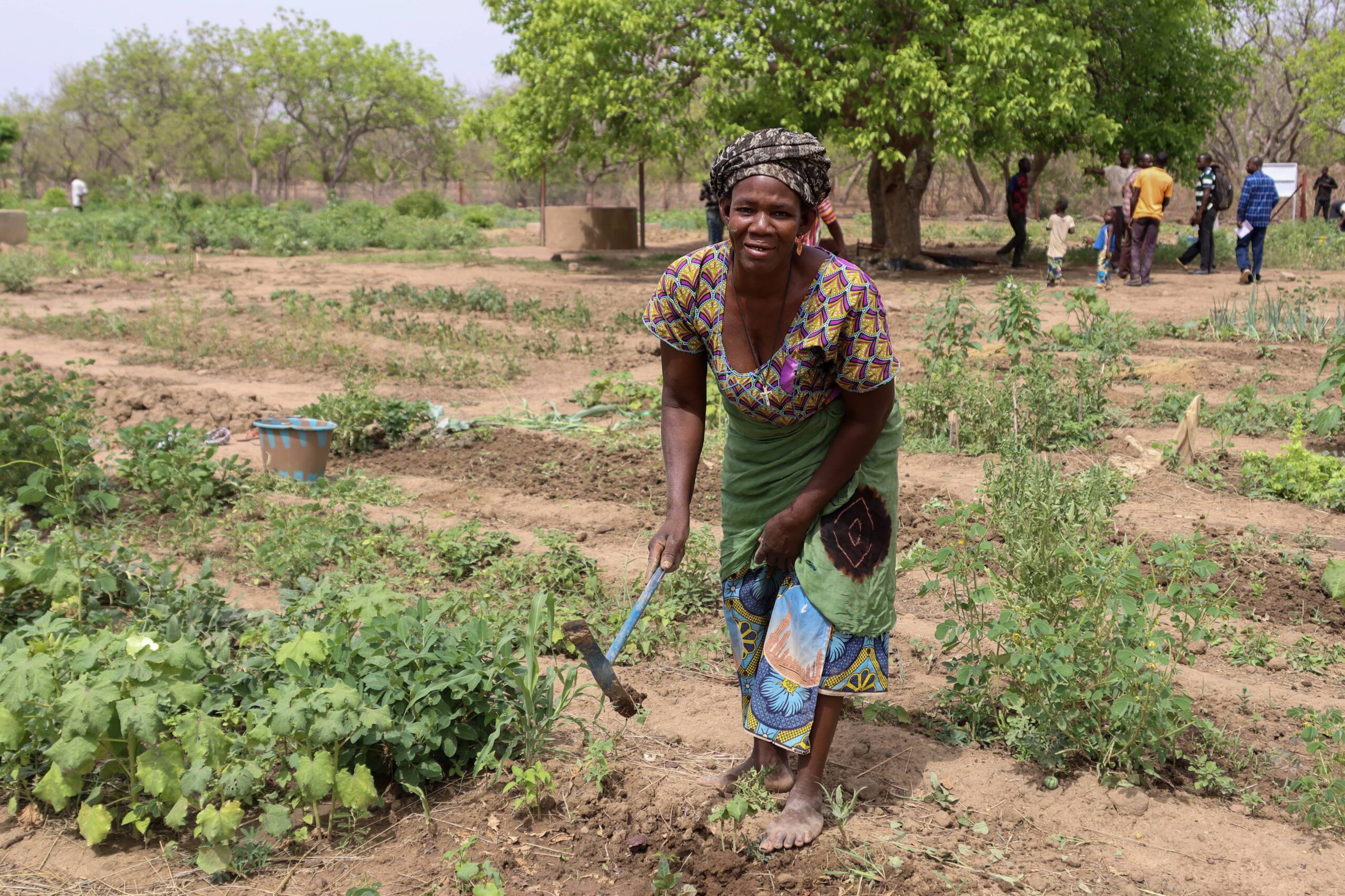 Agroecology in Mali led by farmers