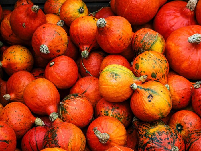 Agroecological eating: sustainable diet guide