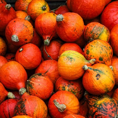 Agroecological eating: sustainable diet guide