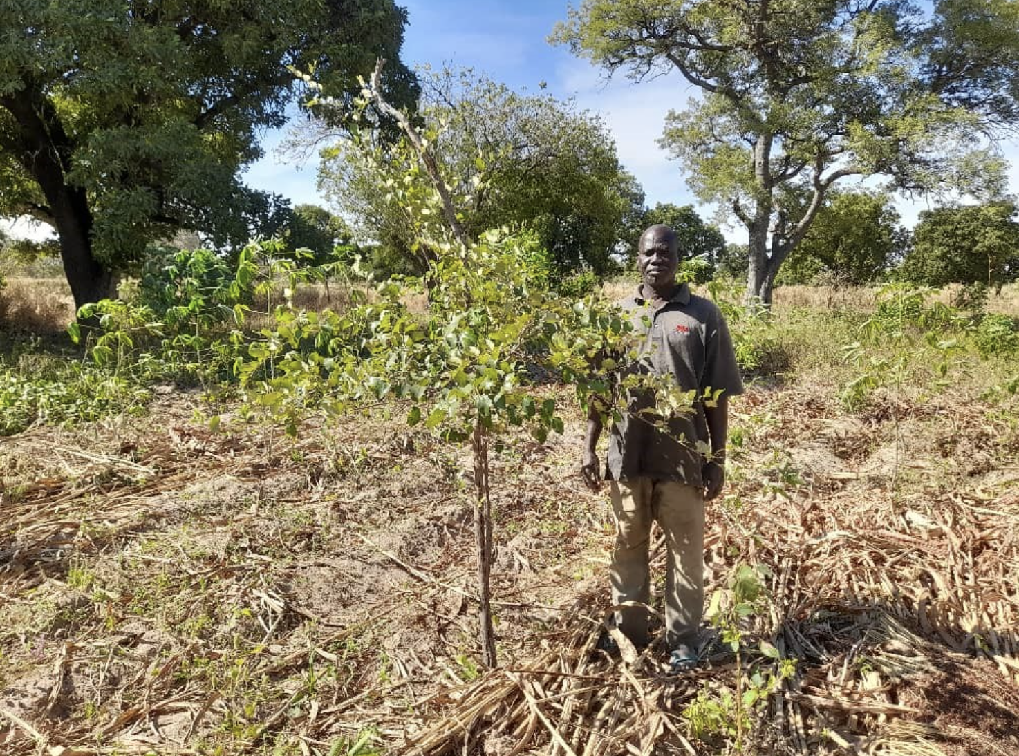 An agroecological model farmer in Mali