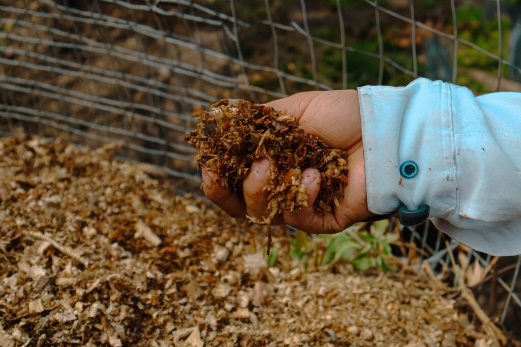 Agroecology in Latin America & the Caribbean: compost for soil health