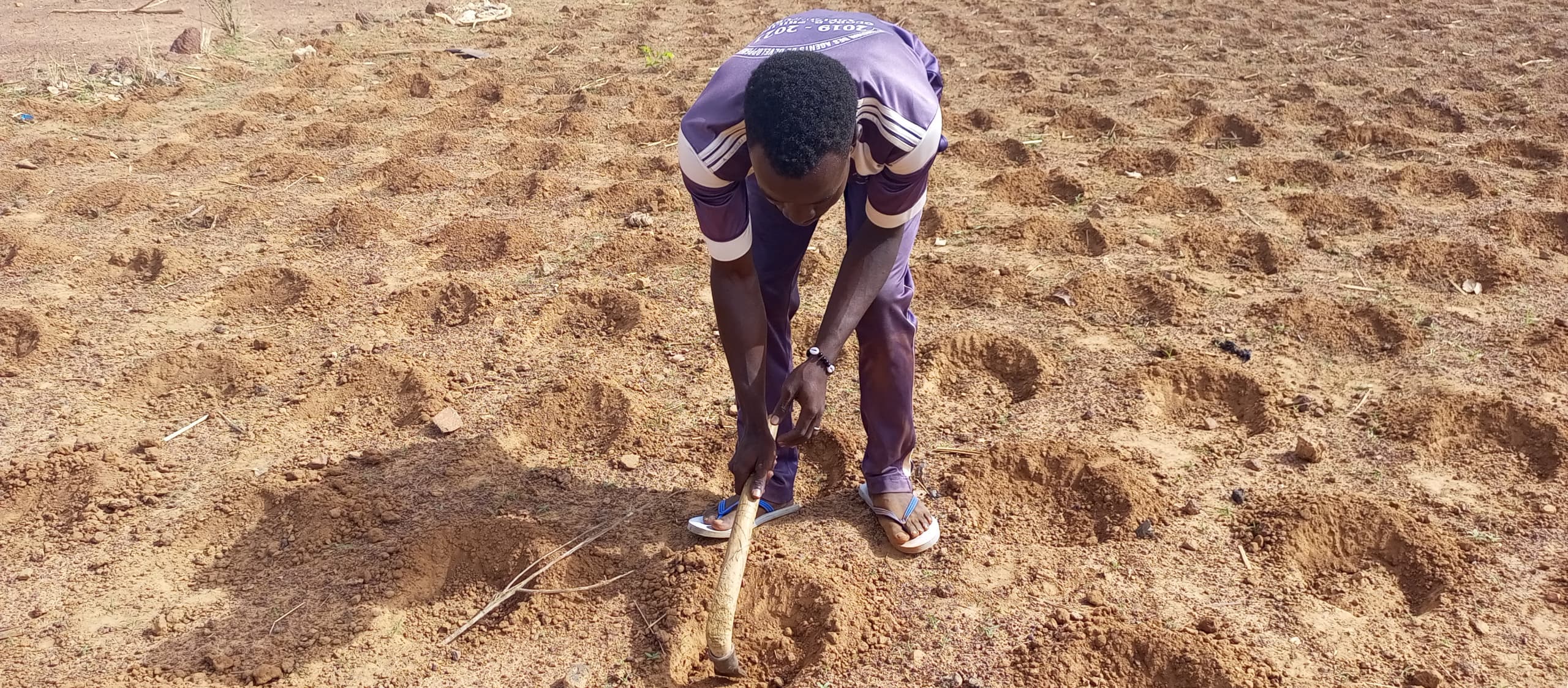 Young agroecological farmers in Burkina Faso