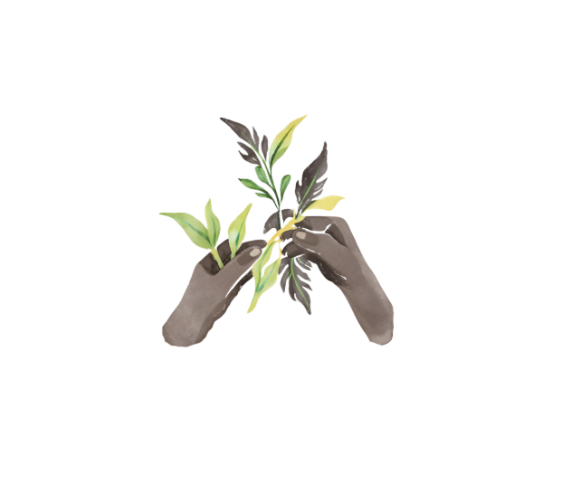 Illustration of two hands holding leaves